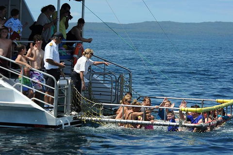 Jervis Bay Boom Netting And Dolphins Tour - Accommodation 4U 5