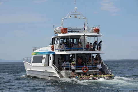 Jervis Bay Boom Netting And Dolphins Tour - Accommodation 4U 12