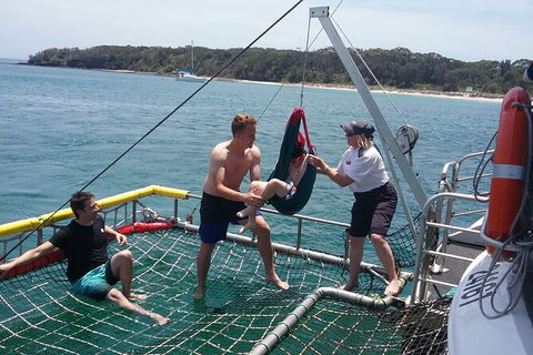 Jervis Bay Boom Netting And Dolphins Tour - Accommodation 4U 7