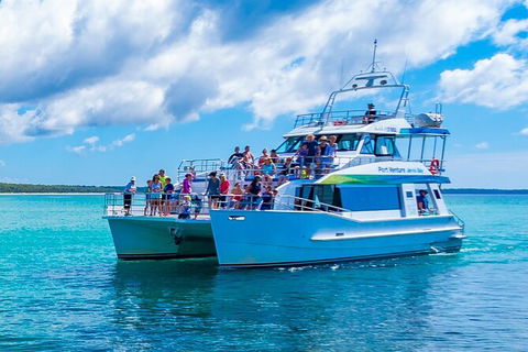 Jervis Bay Boom Netting And Dolphins Tour - Accommodation 4U 3