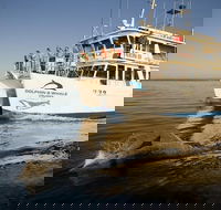 Jervis Bay Dolphin Watch Cruise - Accommodation 4U
