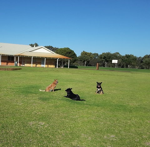 Meet The Animals - Accommodation 4U 3