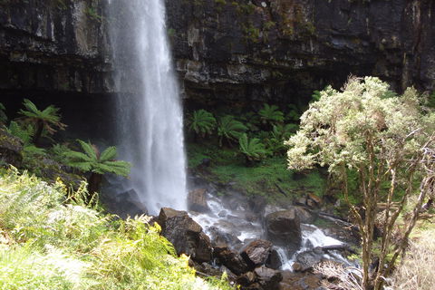 Bindaree Falls - Accommodation 4U 1