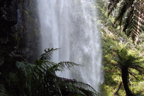 Bindaree Falls - Accommodation 4U 2