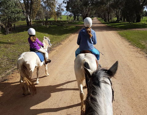 Bits And Boots Pony Rides - Accommodation 4U 0