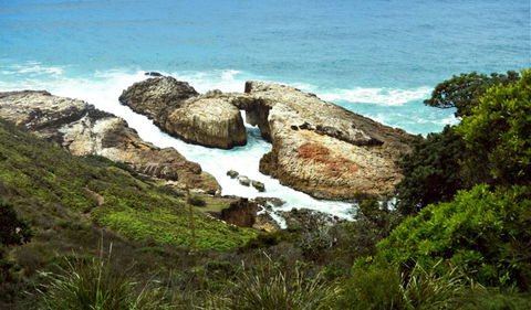 Diamond Head Loop Walk - Accommodation 4U 0