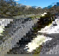 Ebor Falls - Accommodation 4U