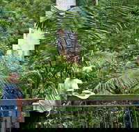 Grandis Picnic Area - Accommodation 4U