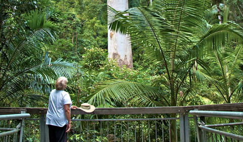 Grandis Picnic Area - Accommodation 4U 0