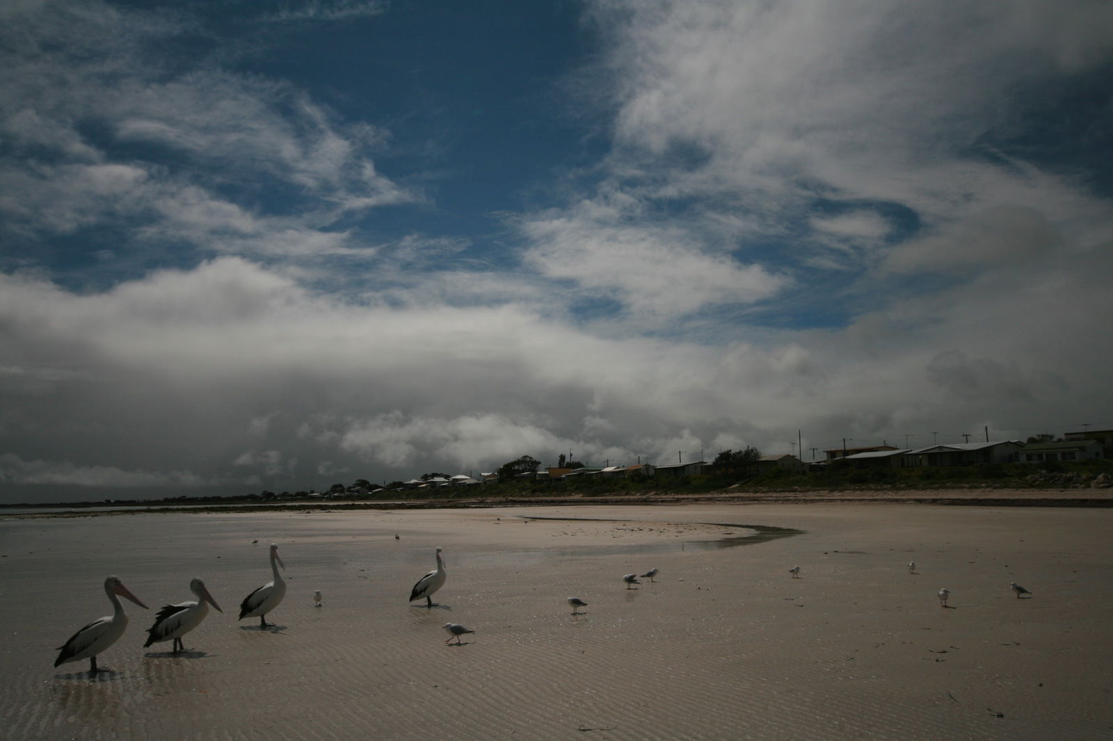 Hardwicke Bay SA Accommodation 4U