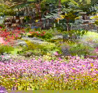 Jurassic Garden AR Experience - Accommodation 4U