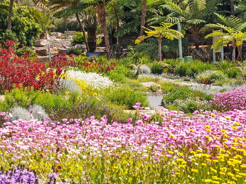 Jurassic Garden AR Experience - Accommodation 4U 0