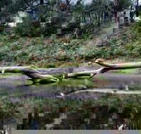 Kayaking Upper Tuross River and Bumbo Lake - Accommodation 4U