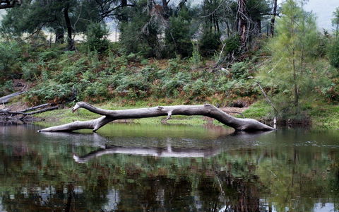 Kayaking Upper Tuross River And Bumbo Lake - Accommodation 4U 0