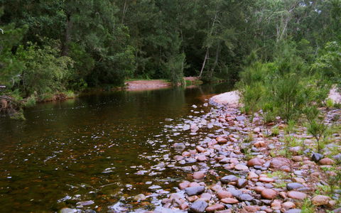 Kayaking Upper Tuross River And Bumbo Lake - Accommodation 4U 1