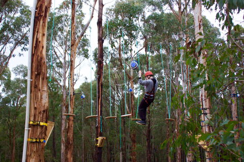 Kinglake Forest Adventures - Accommodation 4U 0