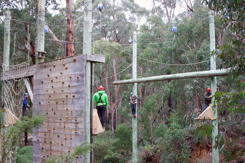 Kinglake Forest Adventures - Accommodation 4U 1
