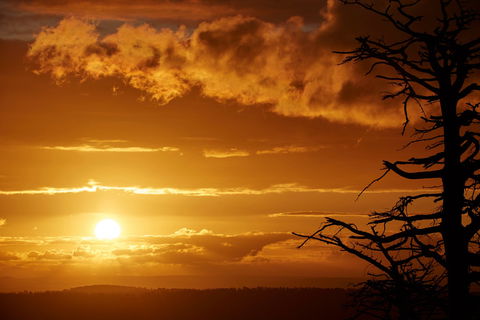 Lady Stonehavens Lookout - Accommodation 4U 0
