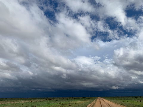 Long Paddock - Cobb Highway Touring Route - Accommodation 4U 1