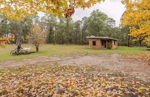 Major Clews Hut Walking Track - Accommodation 4U 0