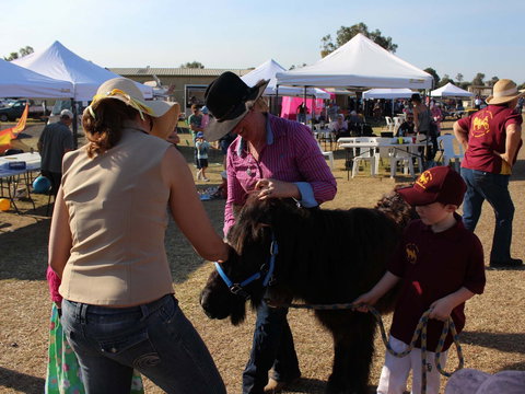 Marburg Pacing Association - Accommodation 4U 2