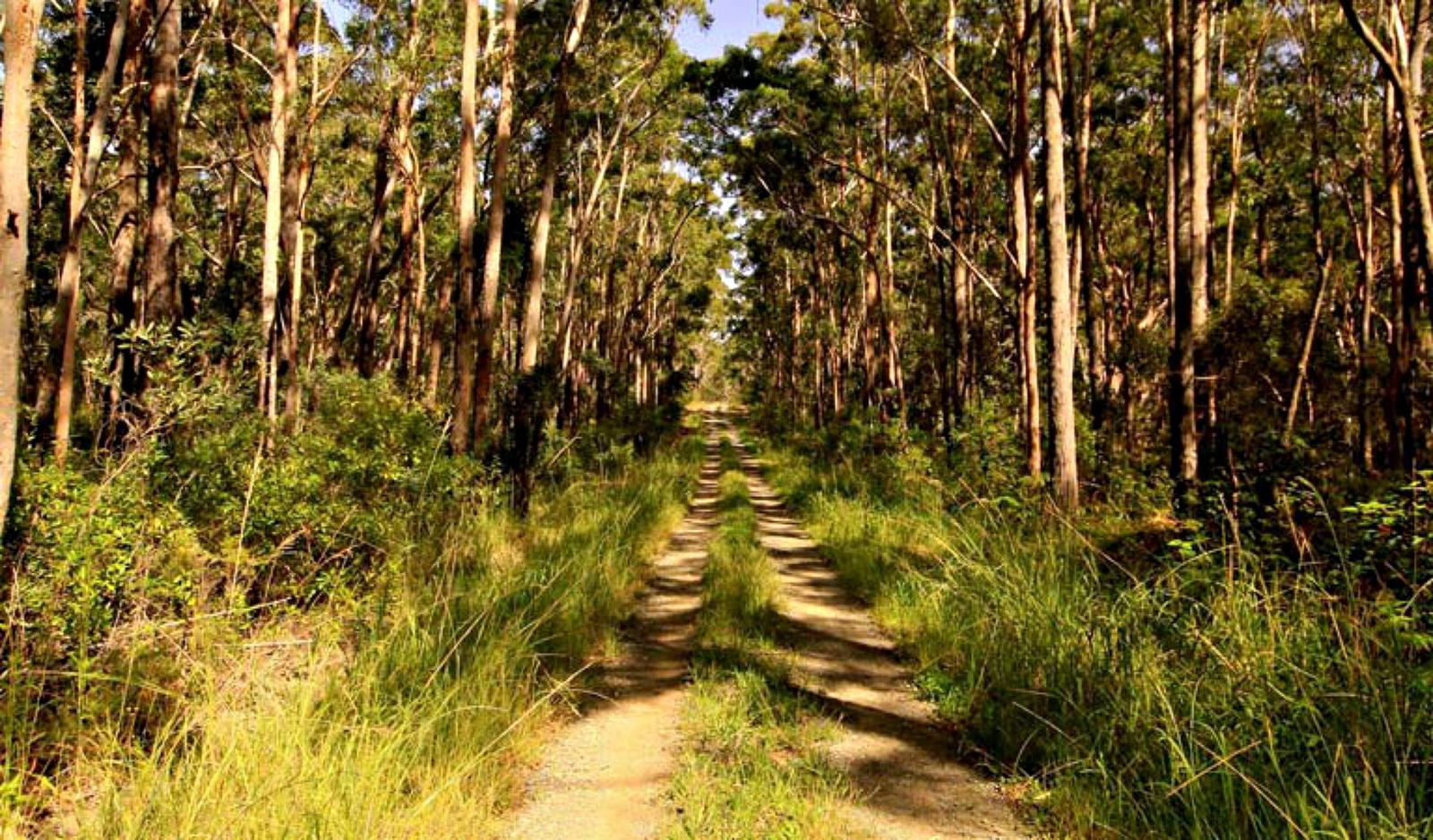 Yagon NSW Accommodation 4U
