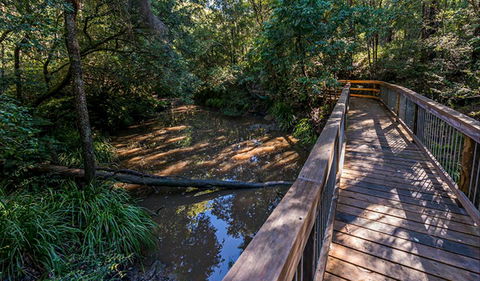 Ms Kellys Walking Track - Accommodation 4U 0