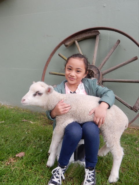 Myuna Farm - Accommodation 4U 0