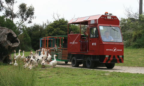 Myuna Farm - Accommodation 4U 2