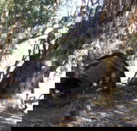 PS Providence historic site - Accommodation 4U