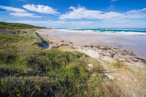 Racecourse Beach: Bawley Point - Accommodation 4U 0