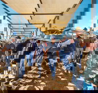 Roma - Accommodation 4U