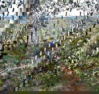 Summits Walking Track - Accommodation 4U