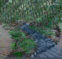 The Channon Protesters Falls Nimbin and Mount Nardi - Accommodation 4U