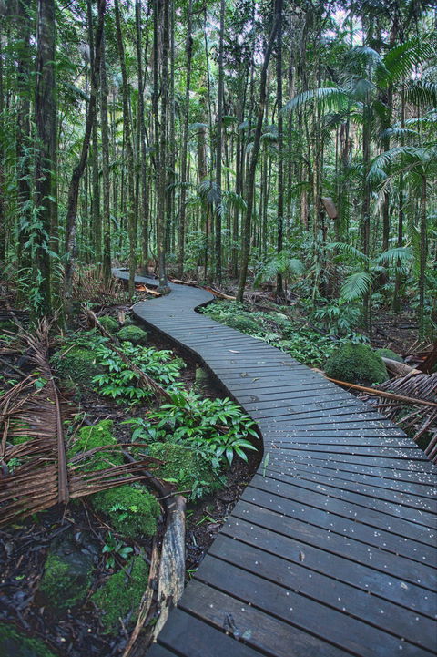 The Channon, Protesters Falls, Nimbin And Mount Nardi - Accommodation 4U 0