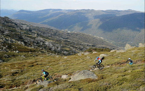 Thredbo Mountain Biking - Accommodation 4U 0