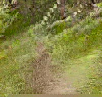 Three Views walking track - Accommodation 4U
