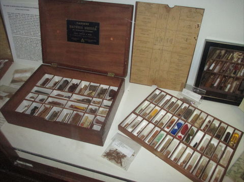UQ Marks-Hirschfeld Museum Of Medical History - Accommodation 4U 0