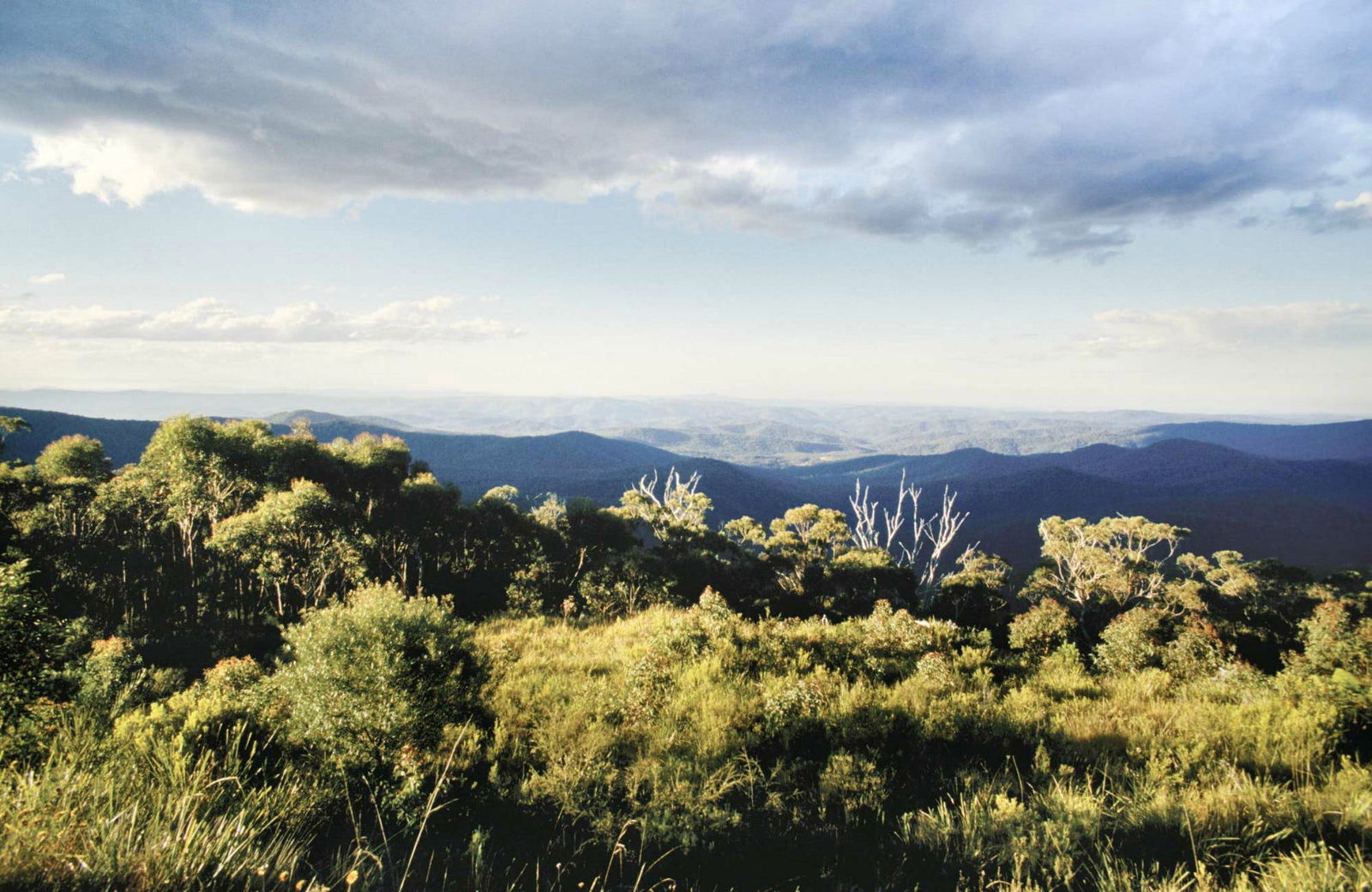 Fernbrook NSW Accommodation 4U