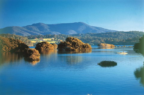 Wagonga Picnic Area - Accommodation 4U 0