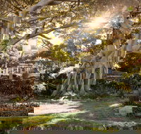 Wendy Whiteley's Secret Garden - Accommodation 4U