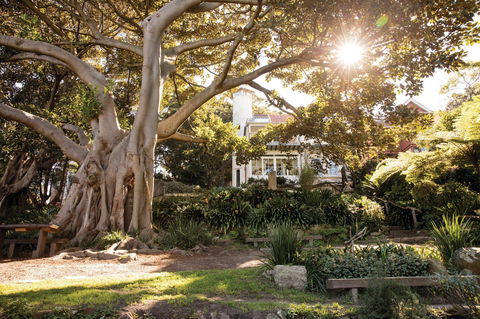 Wendy Whiteley's Secret Garden - Accommodation 4U 0
