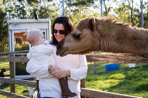 White Ridge Farm - Accommodation 4U 0