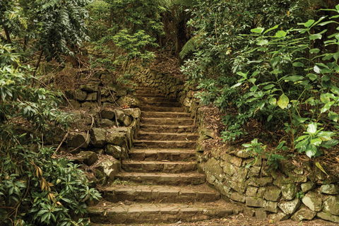 William Ricketts Sanctuary - Accommodation 4U 1