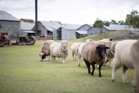 14 Day Gems Of The Outback - Accommodation 4U 2