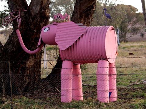 Animals On Bikes - Accommodation 4U 0