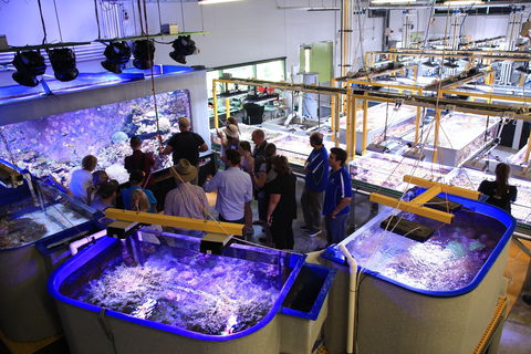 Australian Institute Of Marine Science - Accommodation 4U 0