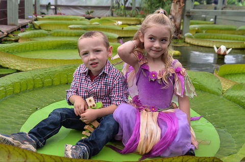 Blue Lotus Water Garden - Accommodation 4U 2