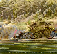 Creswick Regional Park - Accommodation 4U