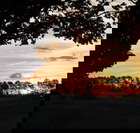 Dangar's Lagoon and Racecourse Lagoon - Accommodation 4U